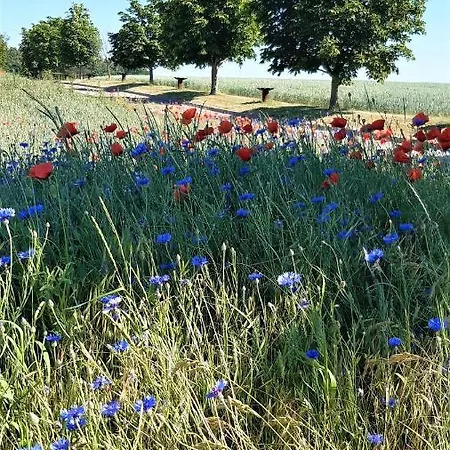 Szálloda & Restaurant Lenzer Krug